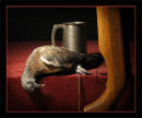After a days shooting