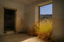 Ruin