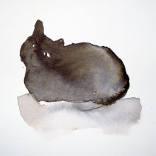 Crystal's Cat