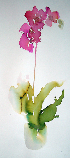 Orchids
