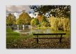 Ashford-in-the-Water in Autumn - PS086