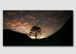 Sycamore Gap (wide view) - NS103