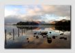 Early Morning on Derwent Water  -  LS014