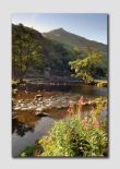 Dovedale (The Stepping Stones) -  PS022