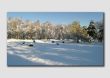Nine Ladies Stone Circle in the snow  -  PP028