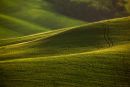 Tuscany Hills-TU0947