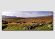 The Ribblehead Viaduct  -  YP020
