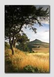 Roseberry Topping  -  YS013