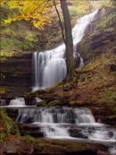 Scaleber Force  -  YS016