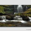 Scaleber Force Wide View -  YS2282