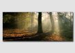 Shafts of Light, Elvaston Castle  -  DP014