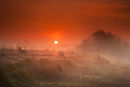 One moment at Dawn 1 - D5120