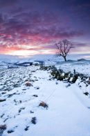 Staffordsire Moorland Winter Dawn  -2 - 3859