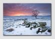 Staffordshire Moorland Winter Dawn 6 - SS3871