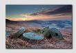 Stanage Millstones at Sunrise - PS8291