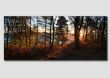 Sunrise on the edge of Stanton Moor -Panorama -  PP111