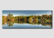 Tarn Howes Autumn Panorama - LW043