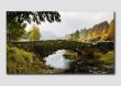 Wanenlath Bridge in Autumn - LS029