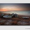 Winter Millstone Dawn - PS3321