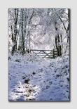 Winters Gate - PS033
