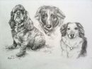 Three precious family members