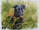 The lovely Paddy