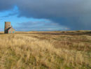 Northumbrian Landscape