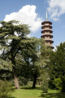 11 Kew Gardens 