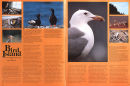 Pentax Magazine