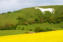 Westbury Horse Wiltshire
