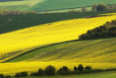 Keysley Down Wiltshire