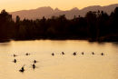Bedford Channel Fort Langley