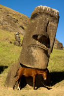  Easter Island scratching post.