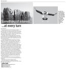 Atlantic Puffins feature