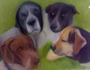 DONNA'S DOGS'08 Commission Pet Portrait  Private Collection Cyprus