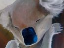 detail KOALA