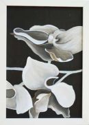 SET OF 3 ORCHIDS
