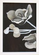 SET OF 3 ORCHIDS
