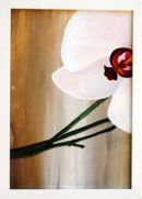 SET OF 3 ORCHIDS