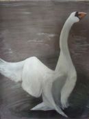 RIPPLE'09  ~ 65x50cms  Private collection Cyprus