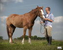 Portrait of Horse and Owner