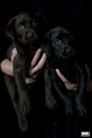 In Safe Hands
