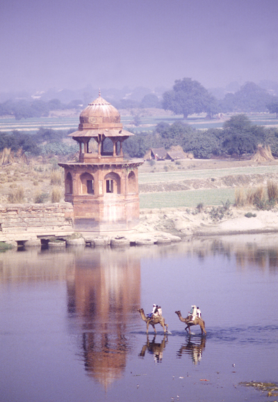 Camels crossing river, Agra