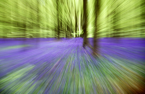 Blue zoom