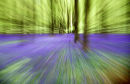 Blue zoom