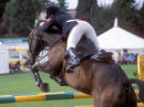 Showjumping
