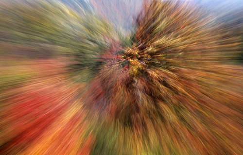 Zoom burst, autumn