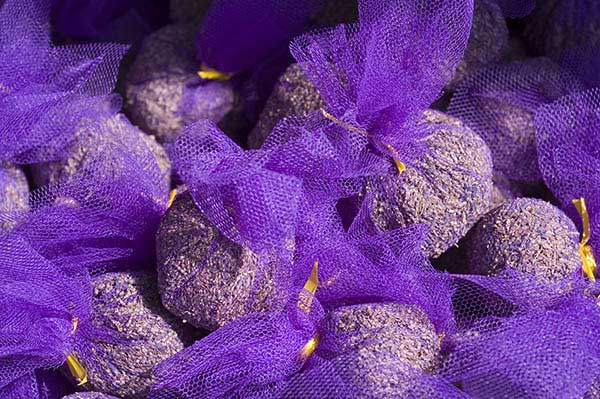 Lavender