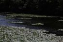 IMG 0053 1