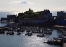 IMG 01501
